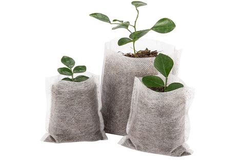 Bolsas Para Plantas En Tela Notex Bolsas Para Huertos En Notex