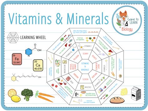 The A B Cs Of Vitamins And Minerals Worksheets Library