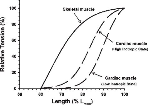 Figure From Calcium Cross Bridges And The Frank Starling