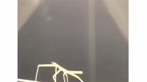 Get Stick Bugged Lol Youtube