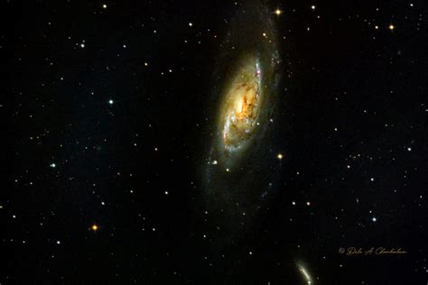 M 106 Spiral Galaxy In Canes Venatici Chamberlain Observatory