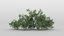 3D Shrubs 60 TurboSquid 1381776