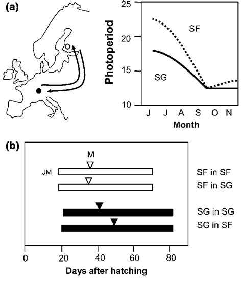 Reciprocal Transplant Experiment Conducted By Berthold Involving