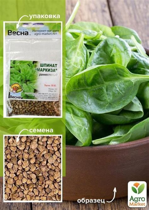 Шпинат "Маркіза" (Зипер) ТМ "Весна" 5г купити поштою в Одесі, Києві ...