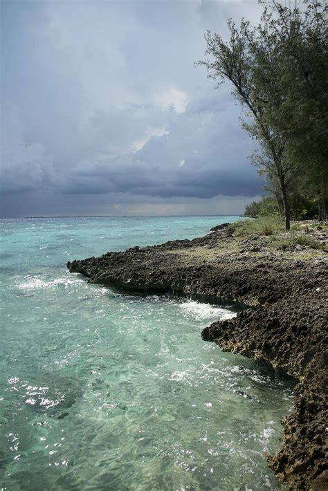 Explore Cuba's best kept diving secret: The Bay of Pigs - The Globe and