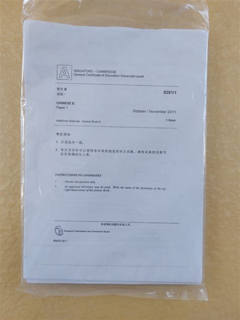 Chinese A Level MTL B Exam Papers 2011 2020 Hobbies Toys Books