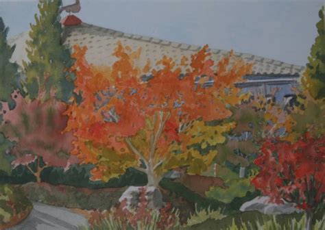 Japanese Maple Painting At Paintingvalley Explore Collection Of