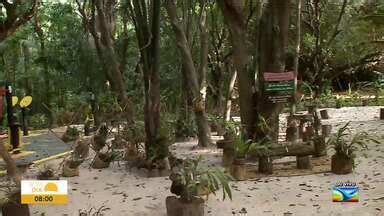 Bom Dia Mirante Parque Botânico da Vale oferece programação especial