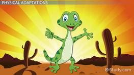 Snake Adaptations: Lesson for Kids - Lesson | Study.com