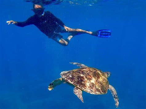 Berwisata Ke Labuan Bajo Beyond Komodo Tour