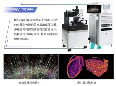 财政贴息政策：沃亿生物助力科研医疗设备更新改造 跨尺度三维成像财经头条