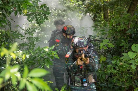 廣西來賓：武警特戰隊員開展山林地捕殲戰鬥 新華網