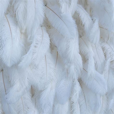 White Feather Flower Wall for Wedding Arrangement Bridal Shower Party – ubackdrop