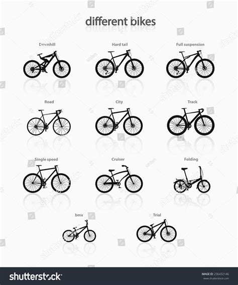 Various Types Bicycles This Set All Stock Vector (Royalty Free ...