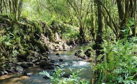 Senda Del Río Ñora El Comercio