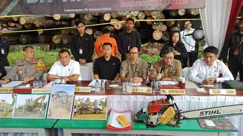 Terlibat Illegal Logging Surveyor Pt Css Diangkut Dittipidter