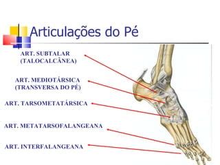 Biomecanica do pé e tornozelo PPT