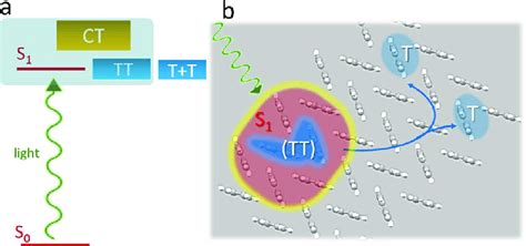 Schematic Of The Singlet Fission Process A Energy Level Arrangement Of