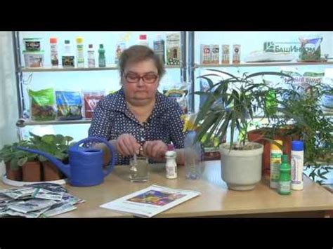 "Фитоспорин-М РАССАДА, ОВОЩИ, ЯГОДЫ, ПЛОДОВЫЕ" и "Фитоспорин-М ЦВЕТЫ ...