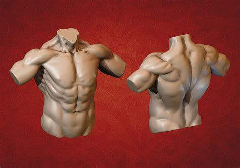 D Print Model Human Male Torso Cgtrader