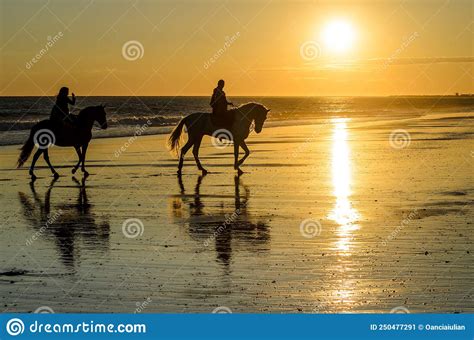 Horse Ride at Sunset on Th Beach of Mazagon, Huelva, Spain Editorial ...