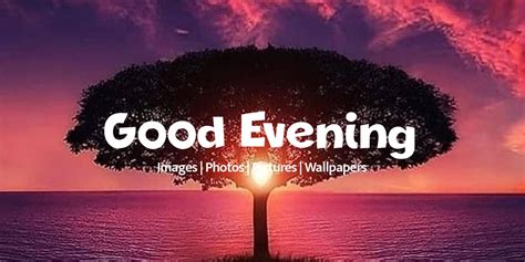 Collection Of Stunning Good Evening Images In Full K Resolution