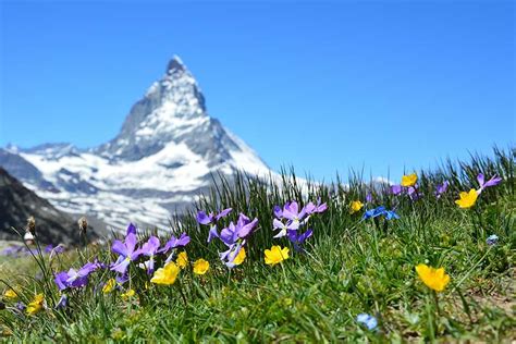 Italian-Swiss Alps: the Matterhorn - Ryder Walker