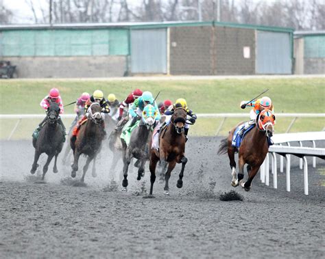 Turfway Park: Chasing three mandatory-payout carryovers on c | TwinSpires