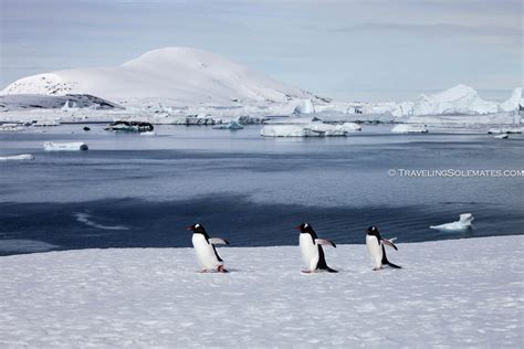 Antarctica: Lemaire Channel, Booth Island & Full Moon | Traveling Solemates