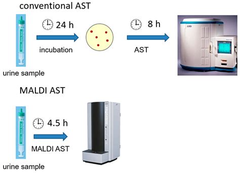 Antibiotics Free Full Text Rapid Antibiotic Susceptibility Testing