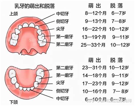 儿童乳牙患龋率高达70 家长把握关键5招有效降低孩子患龋率 知乎