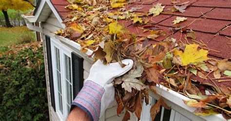 Leaves In Gutters — What You Should Know