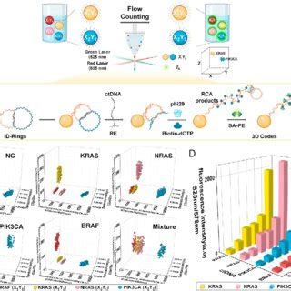 Clinical Sample Measurements A Schematic Illustration Of CtDNA