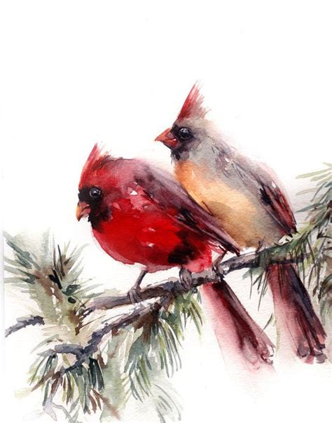 Home Living Wall Décor Original watercolor female cardinal bird