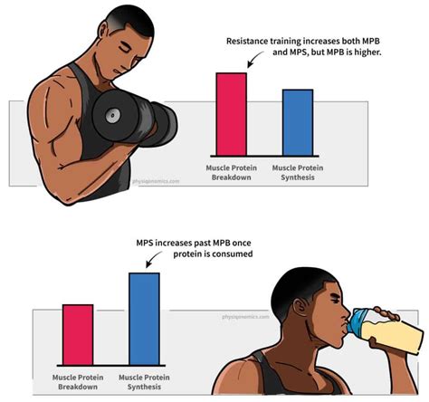 Should You Have Protein After Your Workout By Coach Anthony Fitclub