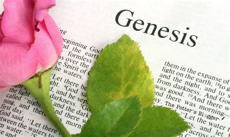 Popular Genesis Bible Verses - The Potter's Blogger