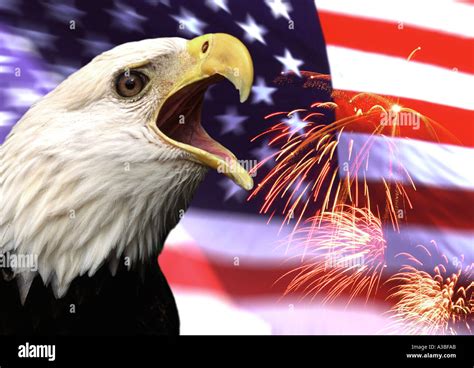 Patriotism in the USA Eagle fireworks Stock Photo - Alamy