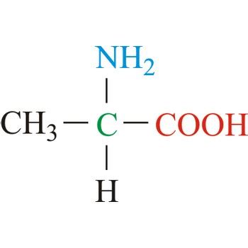 Chemistry Glossary Search Results For Medical Referral Aply Meaning