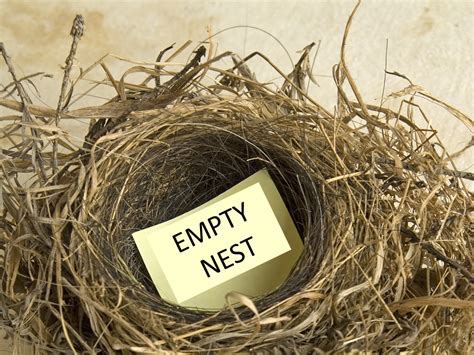 Collection Of Empty Nest Png Pluspng