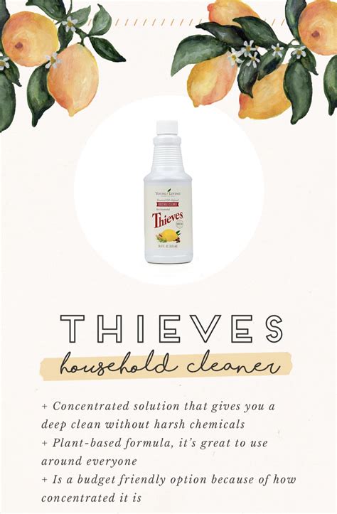 Thieves All Purpose Cleaner Recipe Bryont Blog