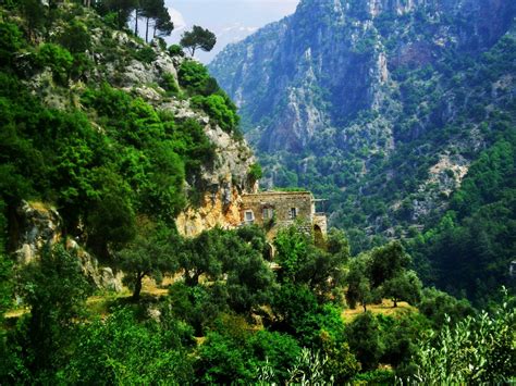 Ouadi Qadisha And The Forest Of The Cedars Of God Lebanon Med O Med