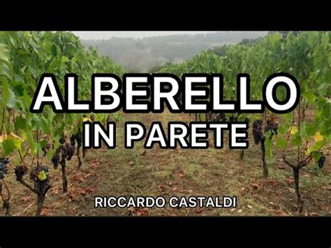 Vite Alberello In Parete Youtube