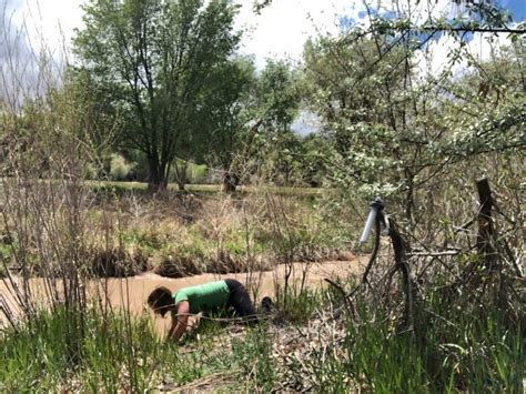 LifeStraw Universal Review Tested Rated