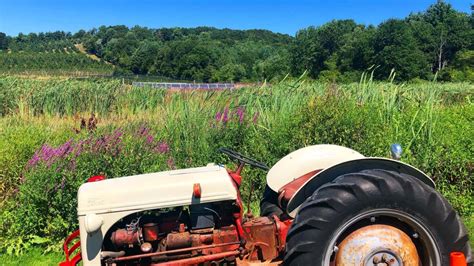 These 6 charming farms will take you on a tour across the US