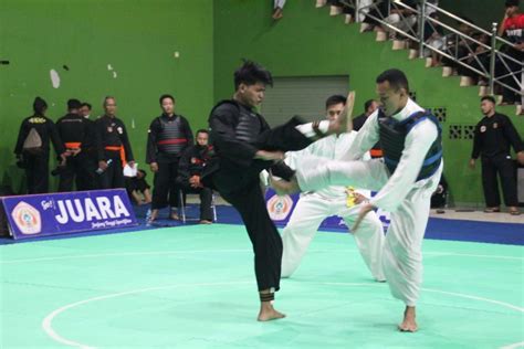 Plab Kendal Juara Umum Semarang Pencak Silat Open Championship Antara