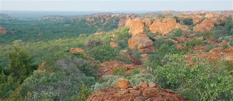 Haenertsburg Magoebaskloof Travel Information