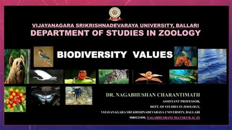 Biodiversity Values Explained Ppt