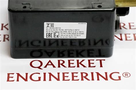 Raychem Raystat Ex Qareket