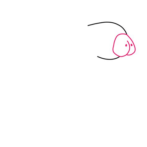 Manatee Drawing - Drawing with Dawn