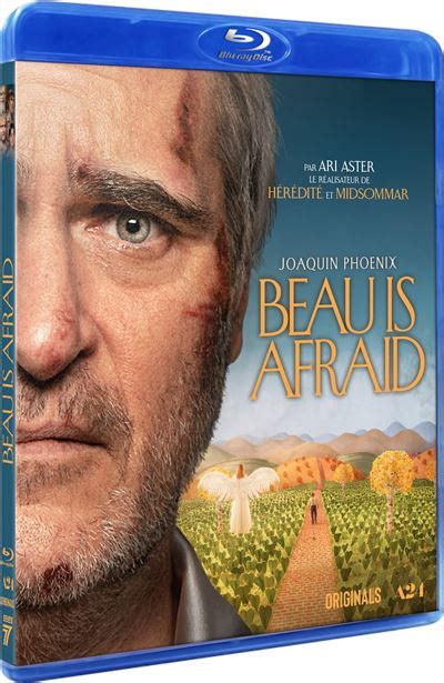 Beau Is Afraid Blu Ray Ari Aster Blu Ray Achat And Prix Fnac